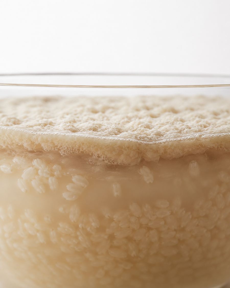 Fermentation